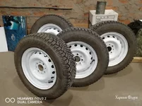 431aa7f3a8b3a3c23396a.webp