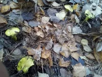 bb683167f6e7c0d8dec9e7.webp