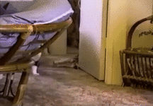 6bc5638f813dfe090.gif