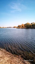 9ebd73757ae63da7b01fd.webp