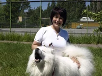 _5270314.webp