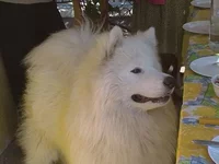 CAM_0931.webp