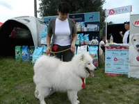 DSCN0902.webp
