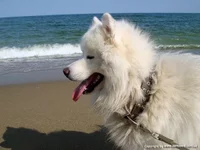 getImage (3).webp