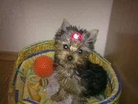 13122011292.webp