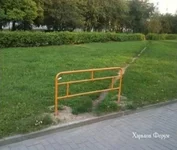 ce66e3b1797f70a1d9579.webp