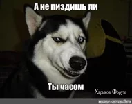 e276a3bd01f06cec.jpg