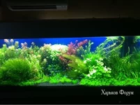50bfd63540419465f1ac.webp