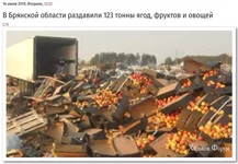 5633f6f002c34482c.webp