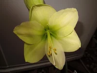 IMG_0095_1_1.webp
