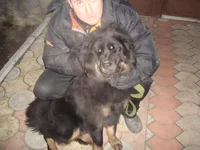 DSC08155.webp