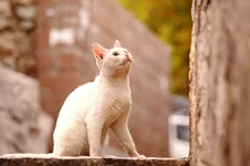 DPP_3031.webp