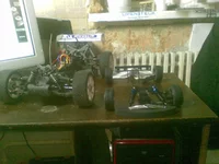 283.webp