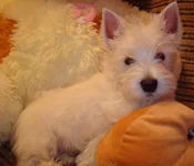 DSC02134.jpg