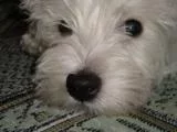 DSC02201.JPG