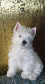 DSC02260.jpg