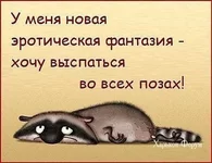 1c231324d5f7d73b5ce43e.webp