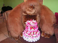 PICT0014.webp