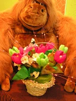 PICT0040.webp