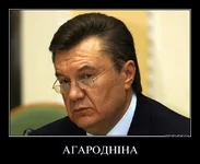 .webp