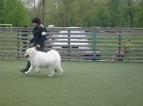y_f3396ee6.webp
