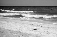998e490bfb0397a25a50b.jpg