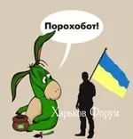 f0b0c5088df6fa6dea9dd.jpg