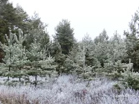 d418c8b3dffbc78a5a1e1.webp
