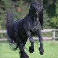 x_3da6c405.webp