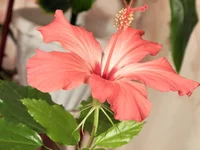 FSCN0251.jpg