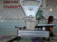 DSC00886.webp