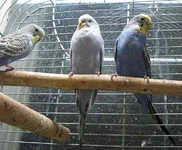 IMG_3094-1.webp