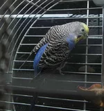 IMG_3098-1.webp