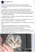 74f1810a135125f02e9496.webp