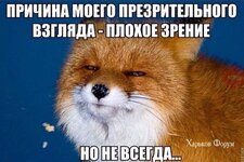 a6800df09af612243f258020.jpg