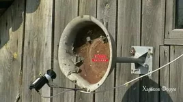 c429c441977b07d654c81.jpg