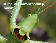 bliat01.jpg
