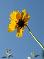IMG_2761.webp