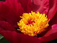 IMG_5639.jpg