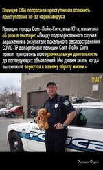 2fb586f4d64a89af291bc5.jpg