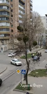 330e6066d8c3657d306fc08.webp