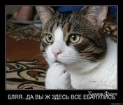 c3f629c6326715f30.jpg