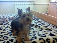 IMG_20111228_130123.jpg