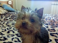IMG_20111228_130207.jpg