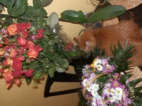 PC210490.webp