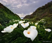 International_Award_022.webp
