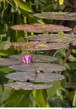 International_Award_024.webp
