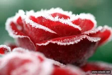 november_069.webp