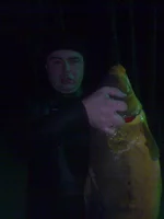 карп 12кг.jpg