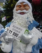 22.webp